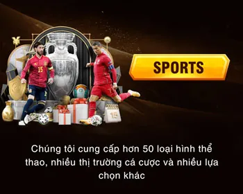 Hình ảnh đa dạng các môn thể thao như bóng đá, bóng rổ, tennis